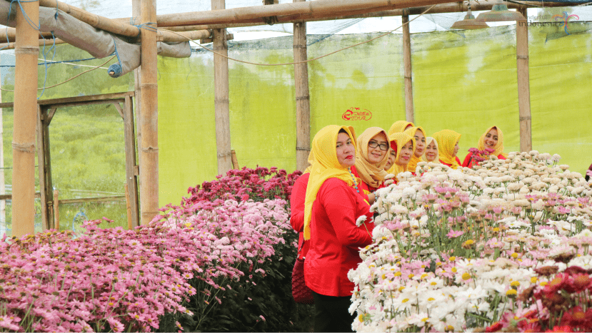 Paket Wisata Makassar
