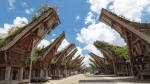 Paket wisata Toraja